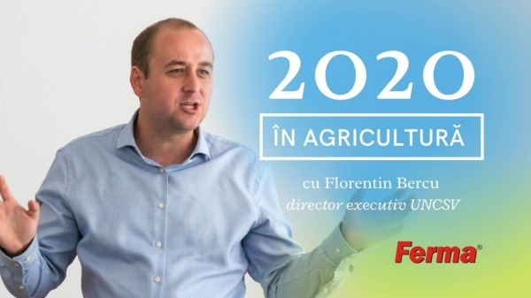 Florentin Bercu - retrospectiva 2020_b