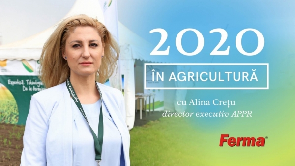 Alina Cretu - retrospectiva 2020_b