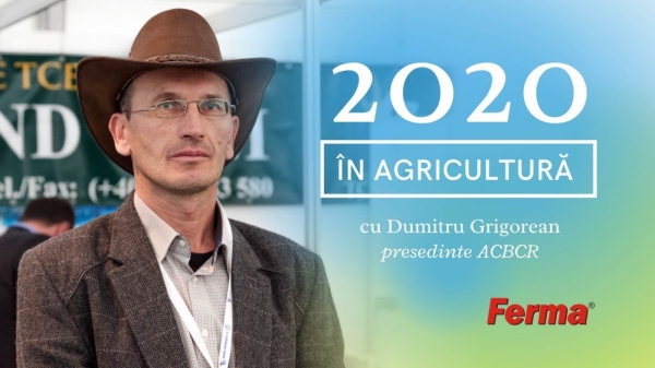 Dumitru Grigorean - retrospectiva 2020_b