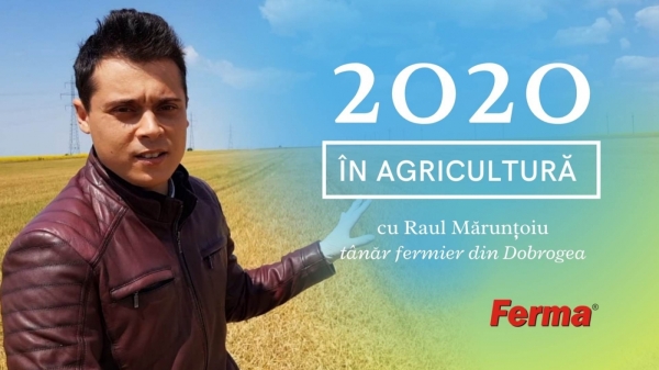 Raul Maruntoiu - retrospectiva 2020_b