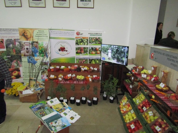 Bucharest Food Summit a reunit floarea agriculturii romanesti2_b