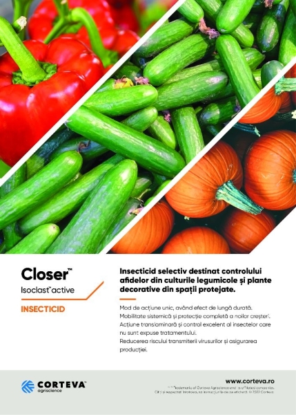 CLOSER - Solutia perfecta pentru combaterea afidelor din culturile de legume 2_b