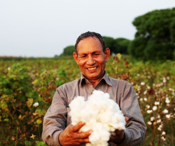 cotton farmer_b