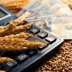 bursa cerealelor feb 01 b Preţurile cerealelor din Europa, între raportul liniştitor USDA şi condiţiile meteo îngrijorătoare