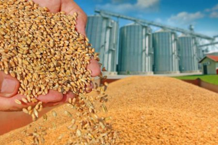 canva bursa agricola b Preţurile cerealelor fluctuează nebuneşte: ameninţări, bombe şi haos pe piaţă