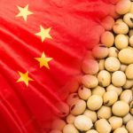 china comert b China este cel mai mare importator global de produse agroalimentare