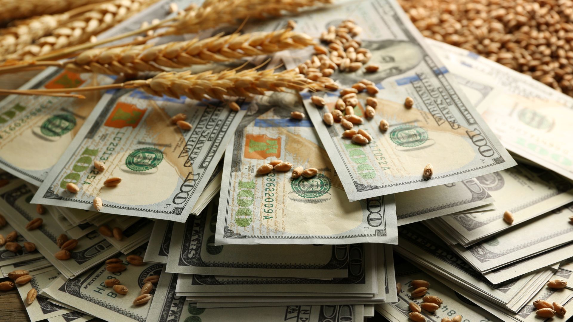 canva bani cereale EURONEXT: Cotaţiile bursiere la cereale au explodat!