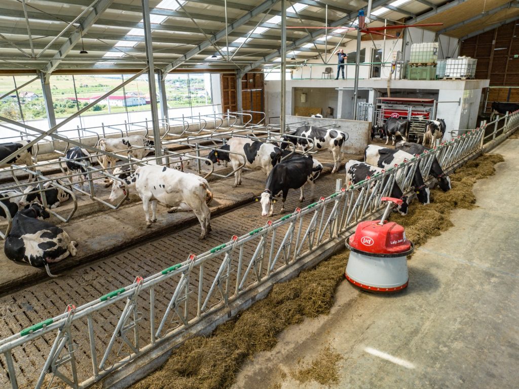 lely in ferma De la 20 la 30 litri de lapte: cum au transformat roboţii ferma familiei Tarniţă