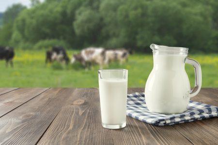 lapte de vaca pret UE Prețul mediu al laptelui de vacă, în U.E.: mai mic decât anul trecut, mai mare decât în 2020 și 2021
