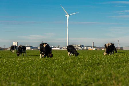 pns 03 PNS: Fermierii olandezi vor avea la dispoziție 17,5 milioane de euro