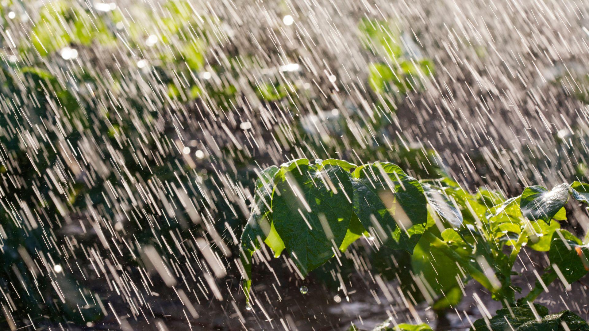 Ploi După secetă, ”potop”: Cel mai ploios noiembrie din anul 1975 încoace în România. Unde s-a petrecut recordul!