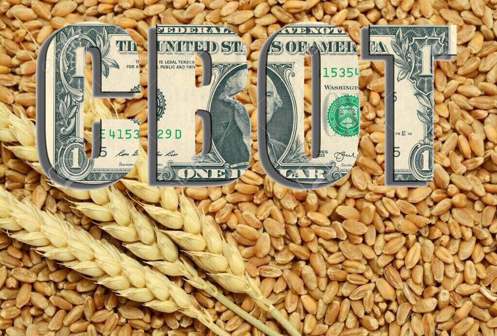 CBOT grau Bursa cerealelor, la zi! După minime istorice se așteaptă o revenire a prețului. Pe când ”minunea”?