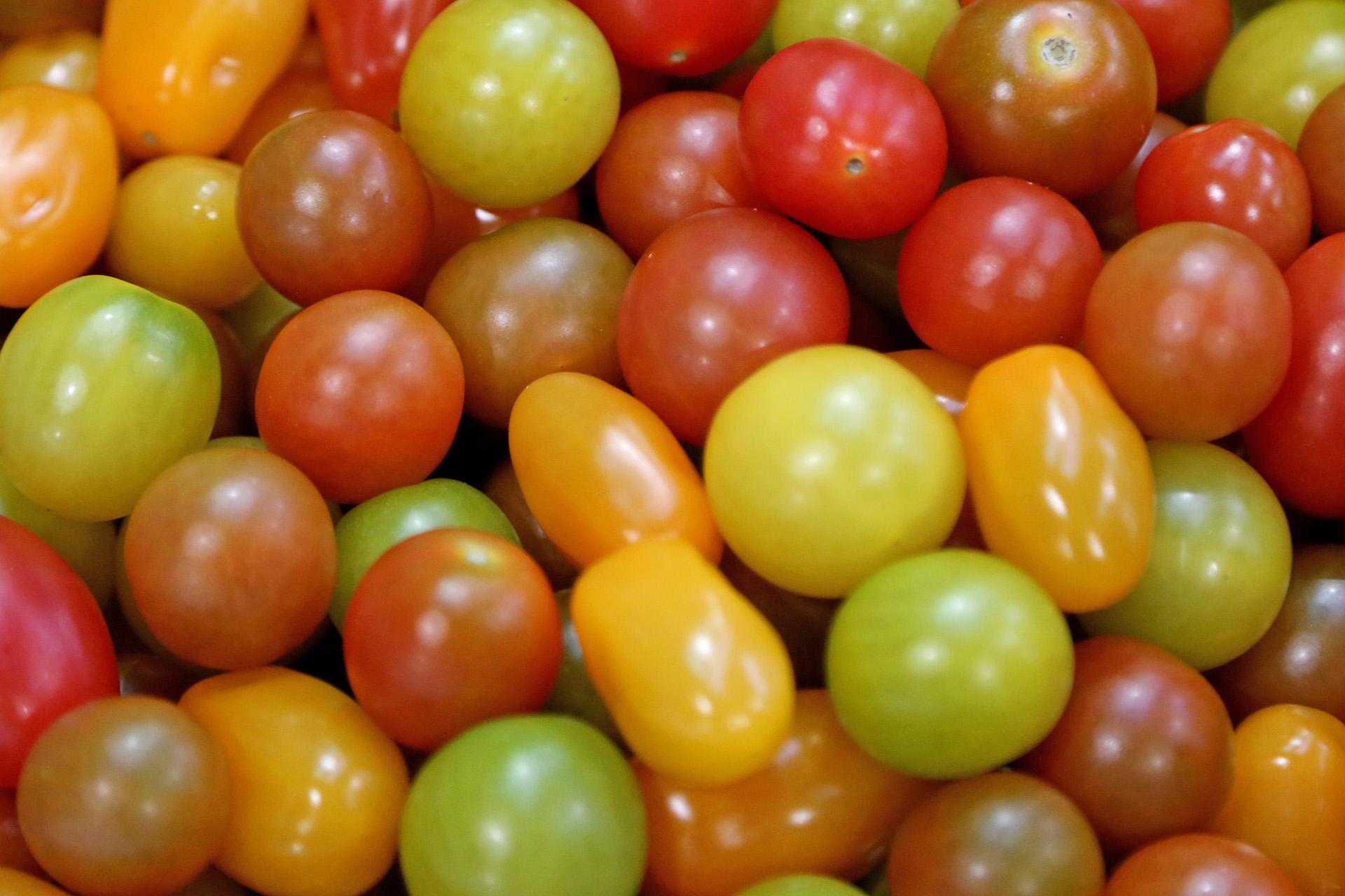 rosii cherry România importă tomate din Turcia în valoare de 92 milioane de dolari!
