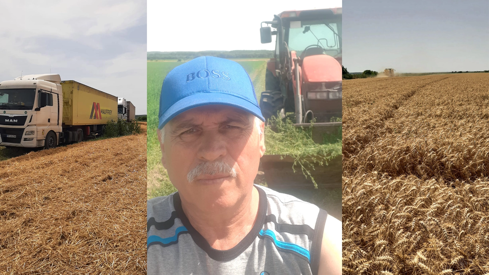 „N-am bani de motorină. Renunț la culturile de toamnă!” – Ștefan Muscă. Motorina, 11 lei litrul. Grâul, 65 de bani kilogramul = faliment