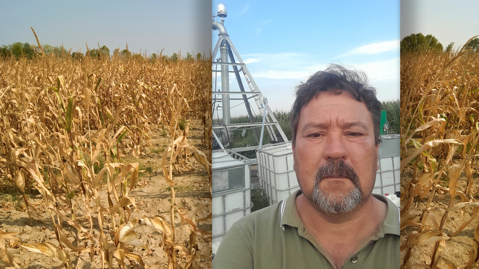 „Nu mai vreau să fac producții, vreau să fac bani!”- Cristel Urse. Fermierul din Ciocile resetează „linia roșie” a cheltuielilor la 3.000 lei/ha. „Fertilizăm doar pe rând, odată cu semănatul”