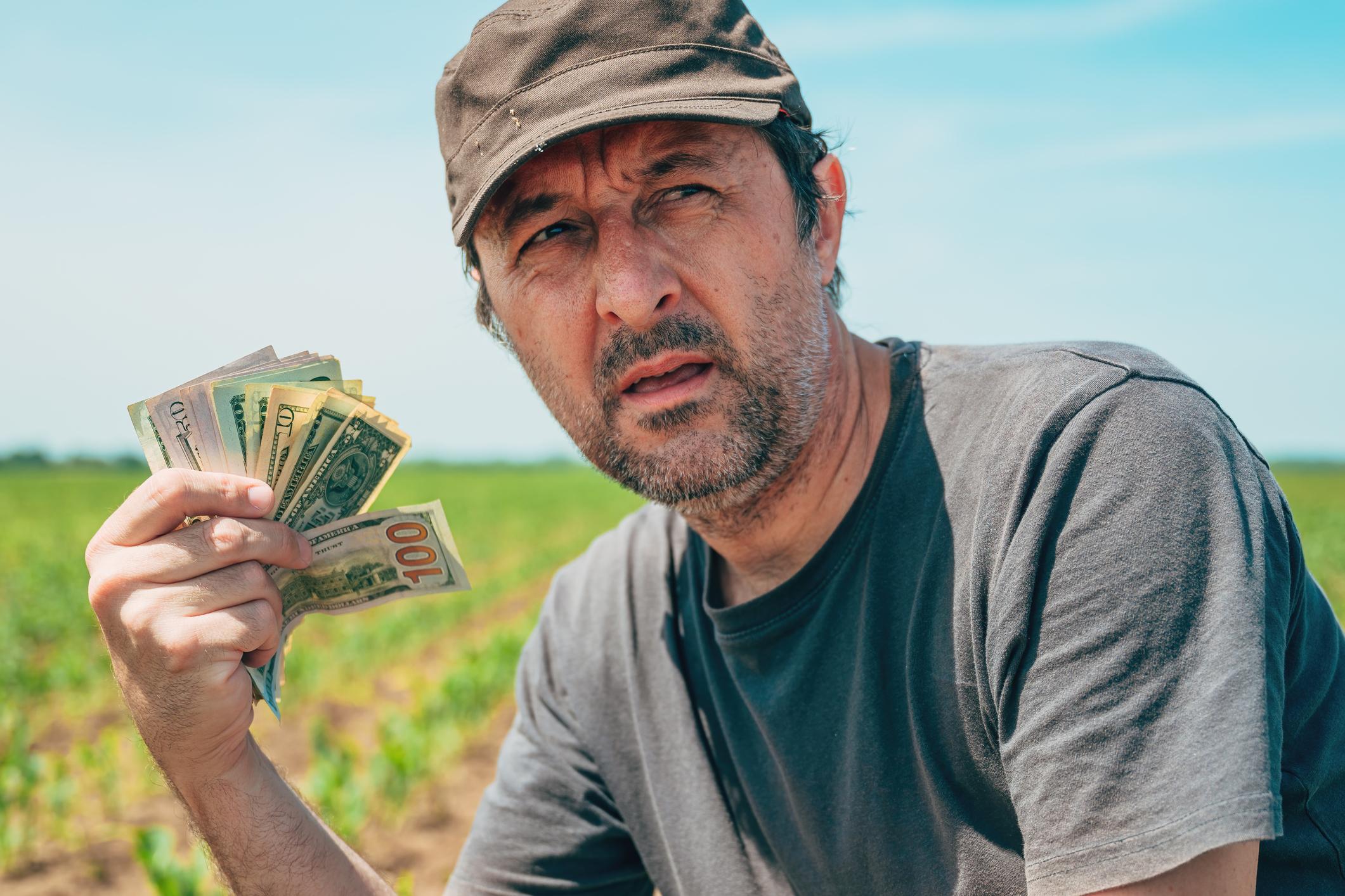 plata ant GAEC 8 ajutoare pentru fermieri subventii APIA pe hectar cereri avans APIA credite fermieri bani apia teren plata sprijin cuplat agricultura gaec 7