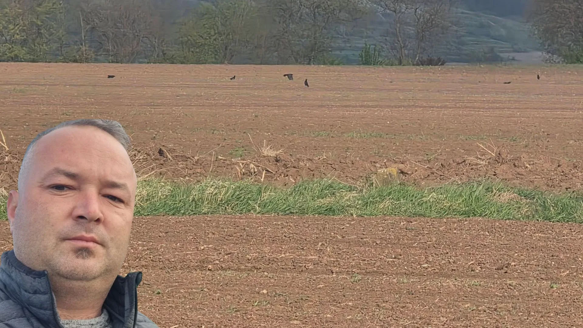 Porumb RAS pe 50 de hectare, pierderi uriașe! Ionuț Sebeni trăiește un DUBLU COȘMAR: din cer vin CIORILE, din pământ - SECETA!