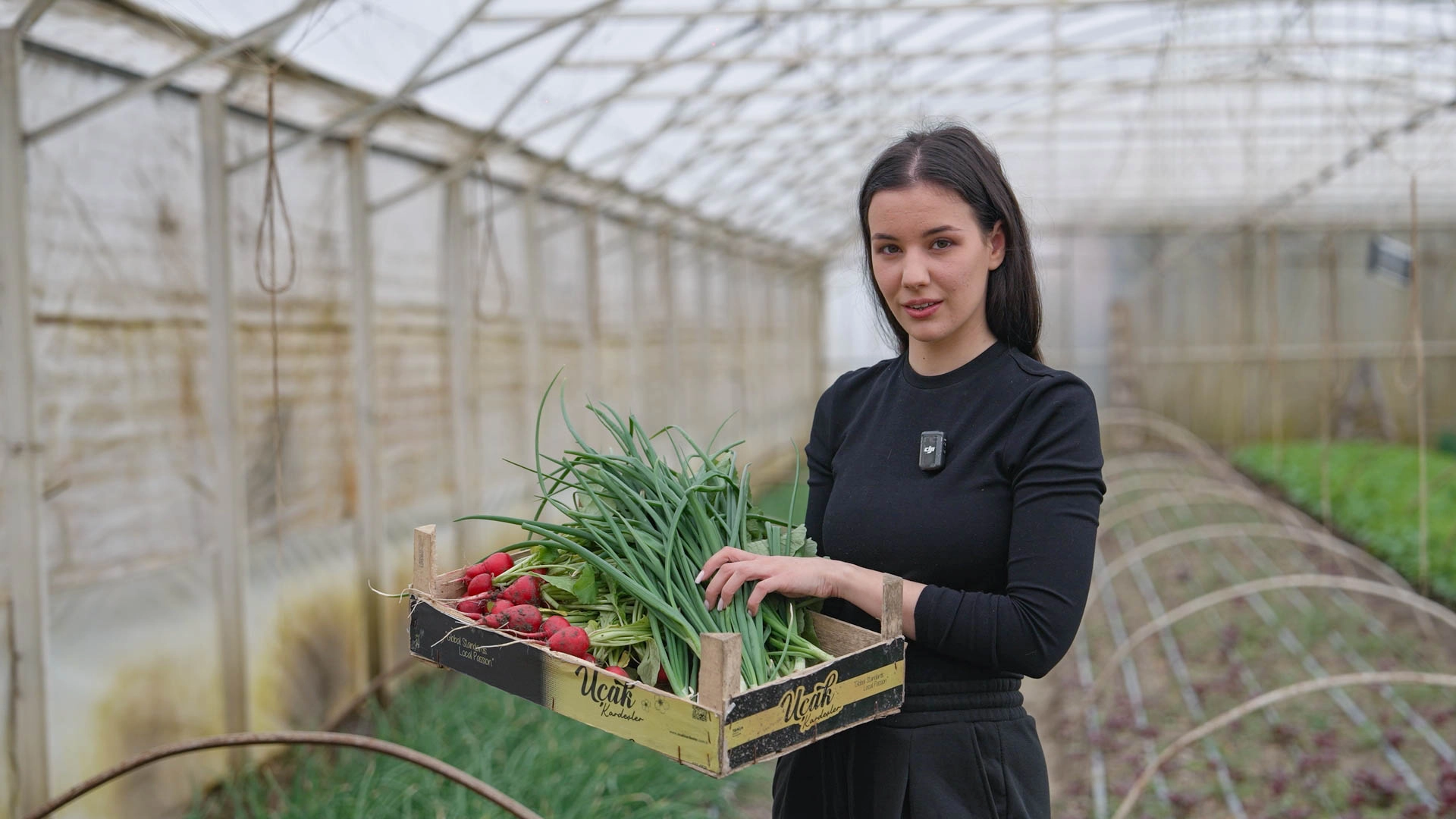 Alexandra Dinu 1 Alexandra Dinu și-a transformat solarul într-un laborator viu