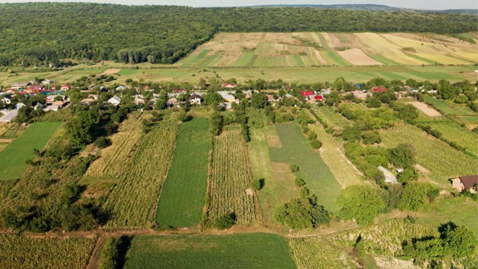 05 ADV FOTO 1 credits Envato copy Investiții care schimbă fermele și creează exemple pentru comunitățile locale