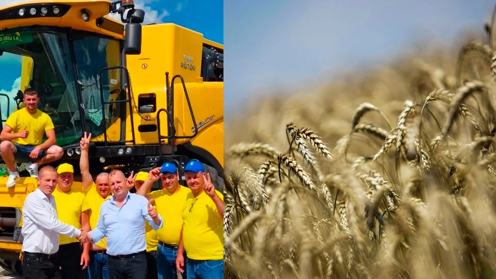 Agriprod Ursu intră la recoltat cu una dintre cele mai performante combine din România. Grâul promite 9,5-10 tone/ha