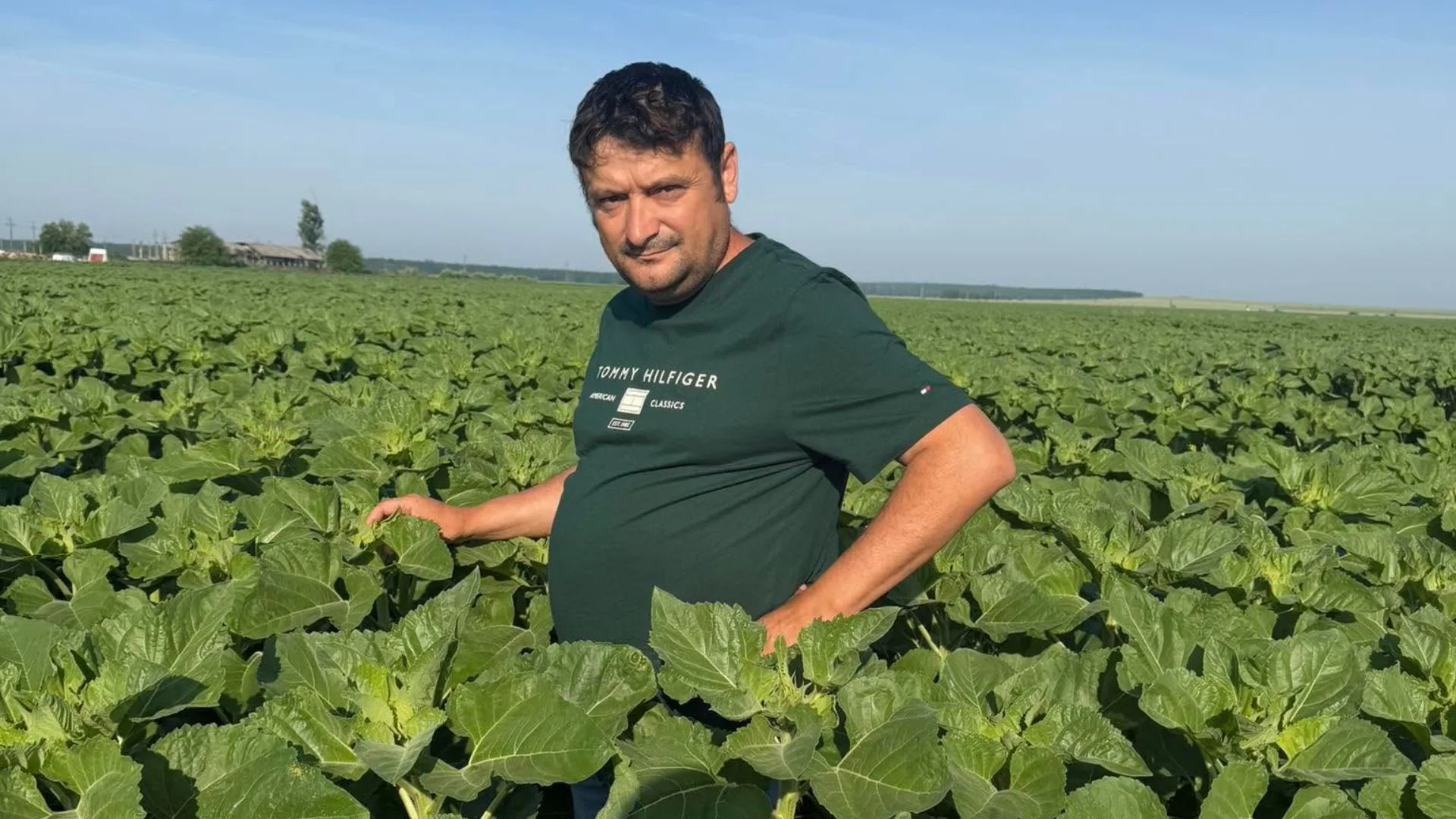 Agromec Vișina elimină complet grâul din asolament după 35 de ani de cultivare neîntreruptă. De ce pariază totul pe oleaginoase?