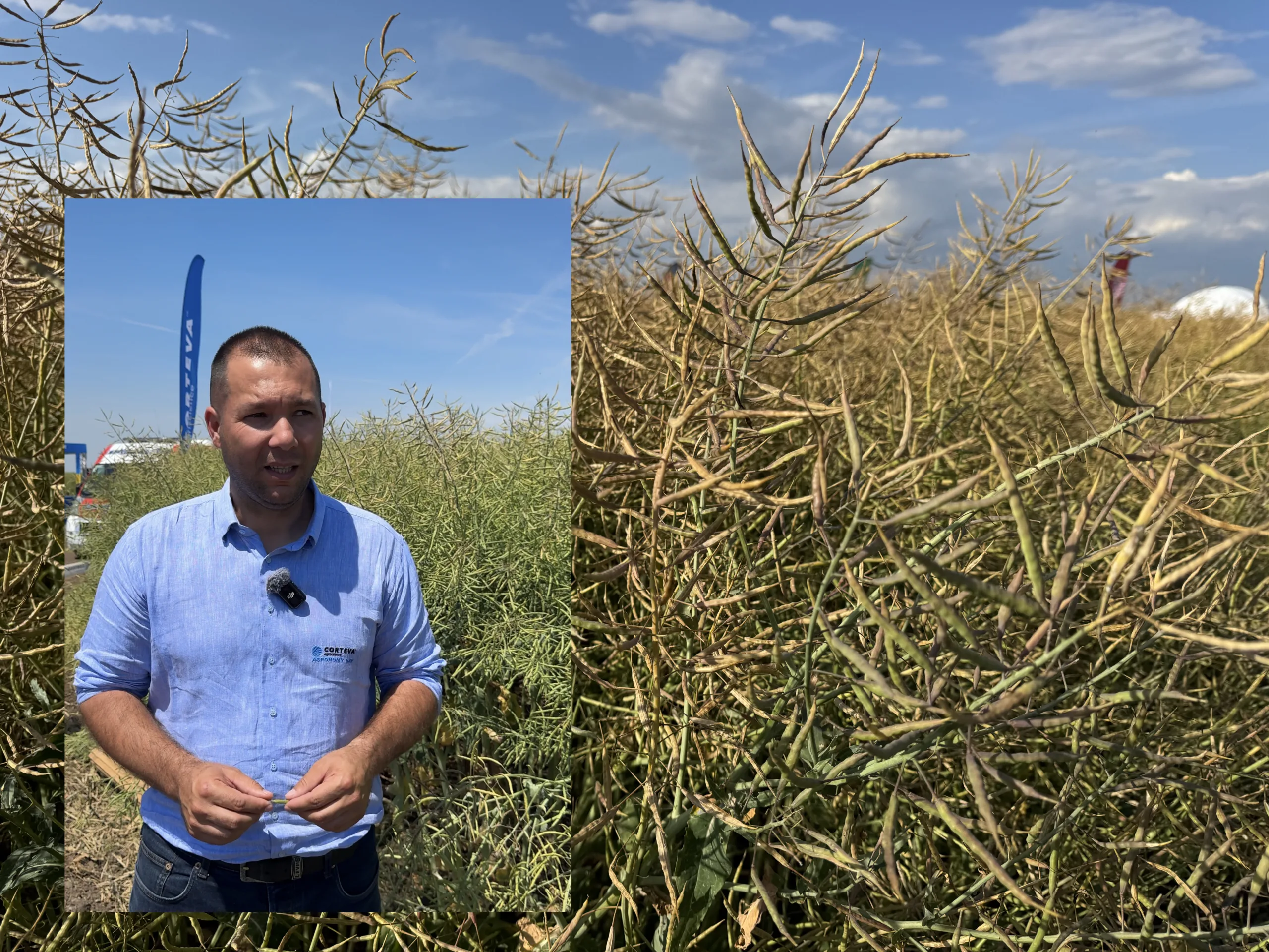 Andrei Ciocoiu, Corteva Agroscience, rapita
