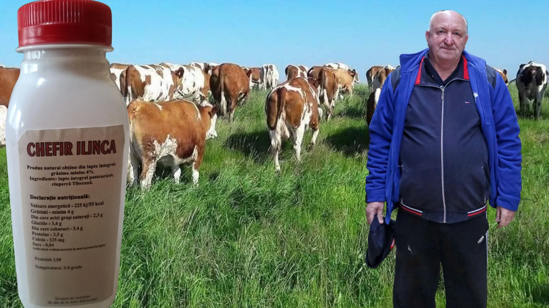 Decizia fermierului Ilie Chifan pentru a evita falimentul! „Nu știm nici noi cât mai rezistăm. Producem laptele cu 2 lei și îl vindem cu 1,50 lei. Suntem sub prețul de cost”. Pariu pe Chefirul „Ilinca”. Borceagul siloz de 2 metri