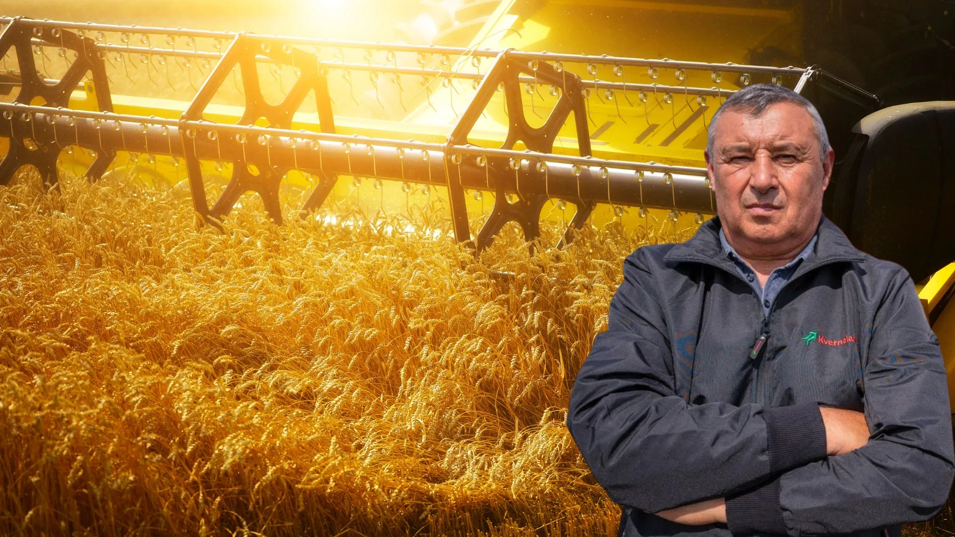 Grâul lui Fănel Pețanca promite 8 tone la hectar. A contractat o parte din recoltă. Ce prețuri a primit? Ofertele de 830 lei/tonă lasă fermierii fără profit. Pericole în campania de recoltare