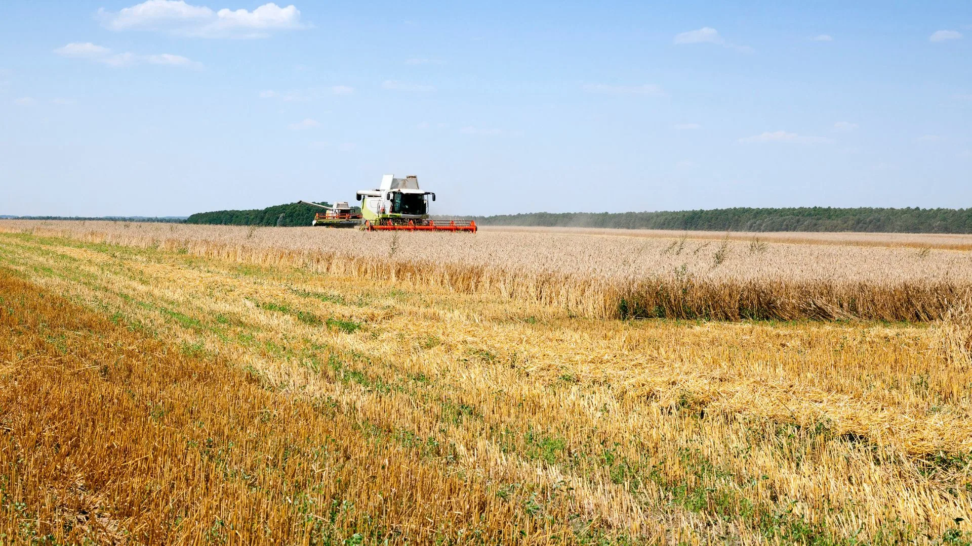Producții. Prețuri. Profit. în campania de recoltat 2026. Patru agricultori din zone-cheie trag linie după primele recolte și răspund la cele 3 întrebări care ard în acest sezon: cât au produs, cu cât vând și, mai ales, dacă rămâne profit