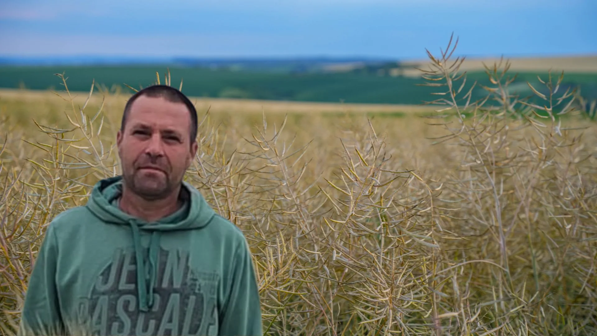 Cum pun fermierii „lacăt” pe recolta de rapiță! Soluția care poate salva tone de producție înainte de recoltare. Daniel Florea nu vrea să piardă nici un bob de rapiță din cele peste 3 tone la hectar estimate