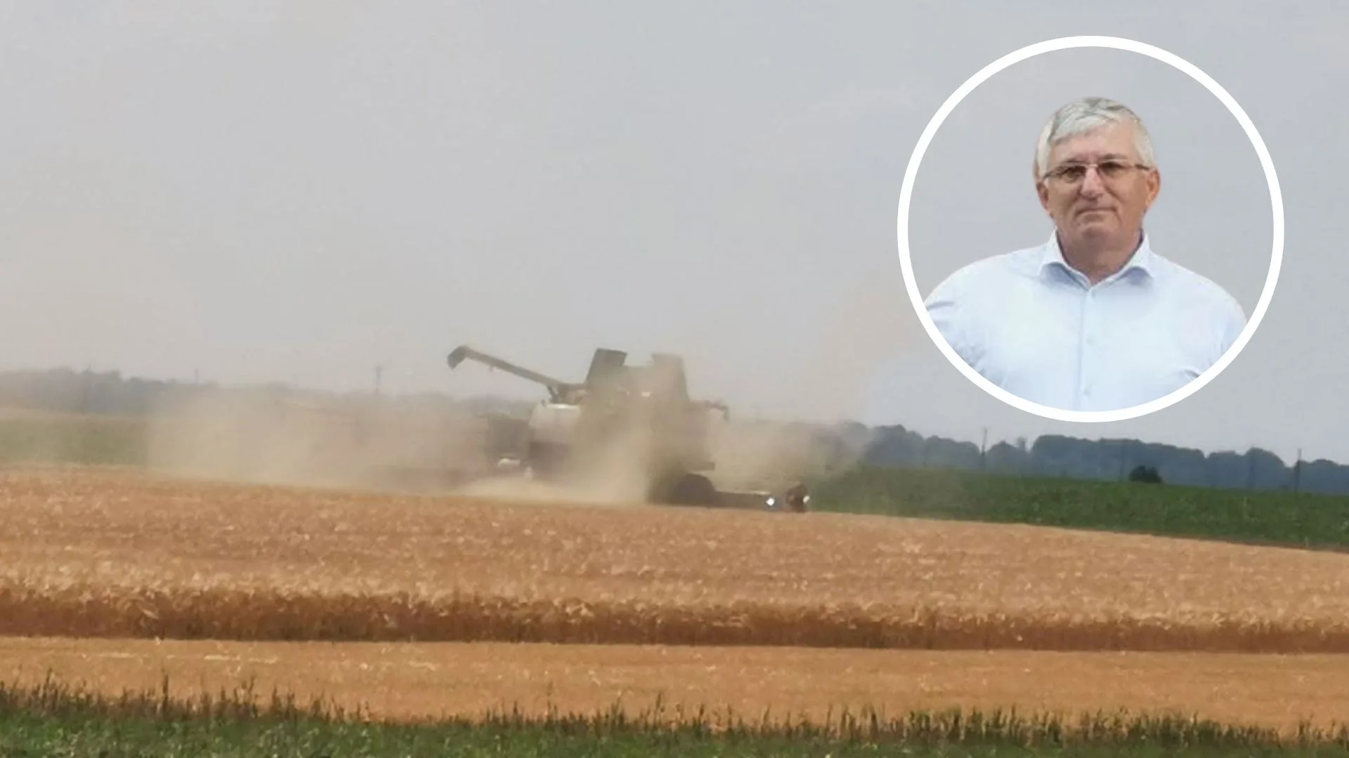 Start recoltare orz: primul fermier intrat în lan anunță producții afectate grav de secetă și de îngheț. Mihai Nagy Iuhasz refuză ofertele: „Nu pot să vând la 78 de bani/kg!”