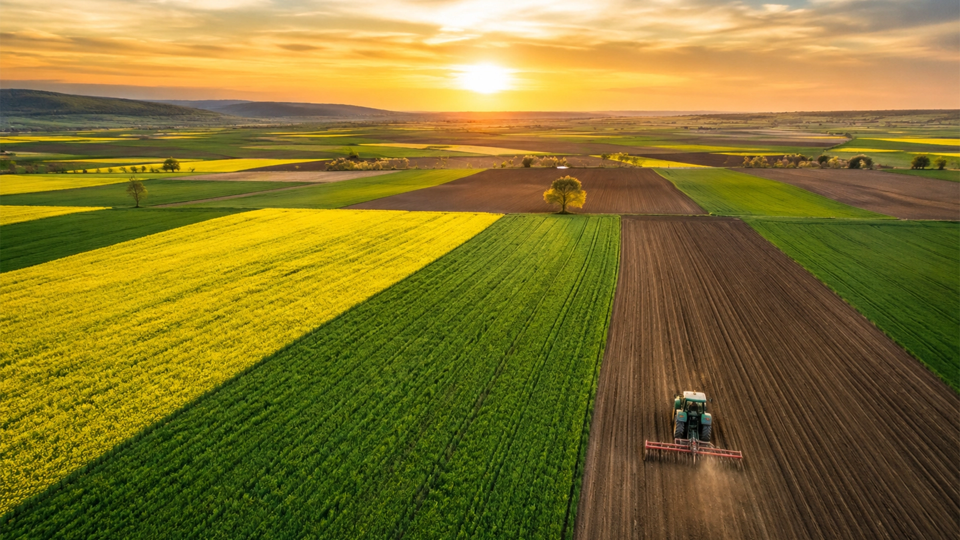 top 5 judete suprafata agricola cultivata