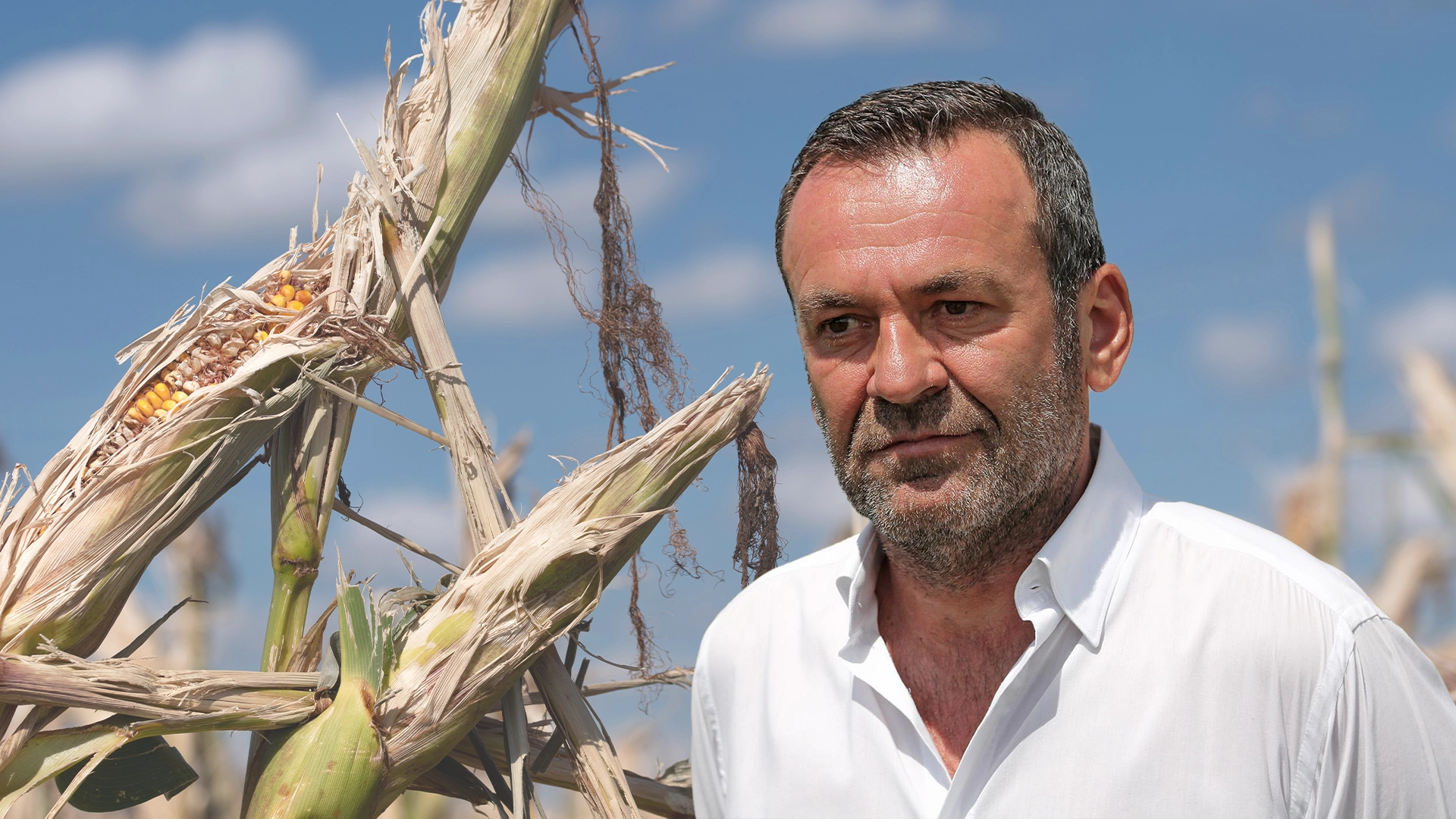 Dan Corbuț: „La porumb vor fi zone unde chiar nu se va recolta nimic”! Fermierii din vestul țării, în fața celui mai secetos an agricol: „Nu are niciun rost să însămânțăm, atât de uscat e pământul”.