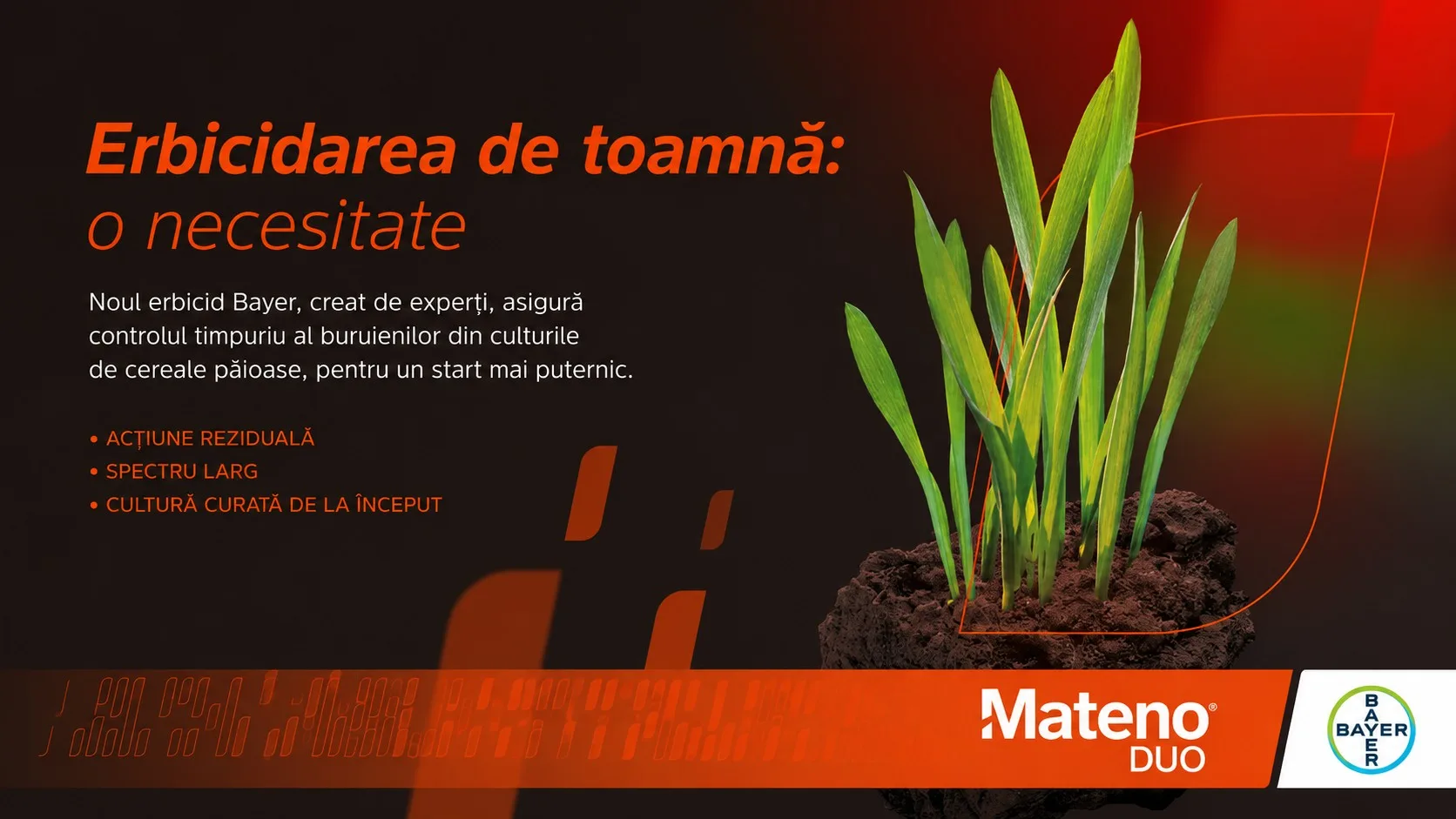MATENO® DUO, noul erbicid pentru cereale păioase de la Bayer