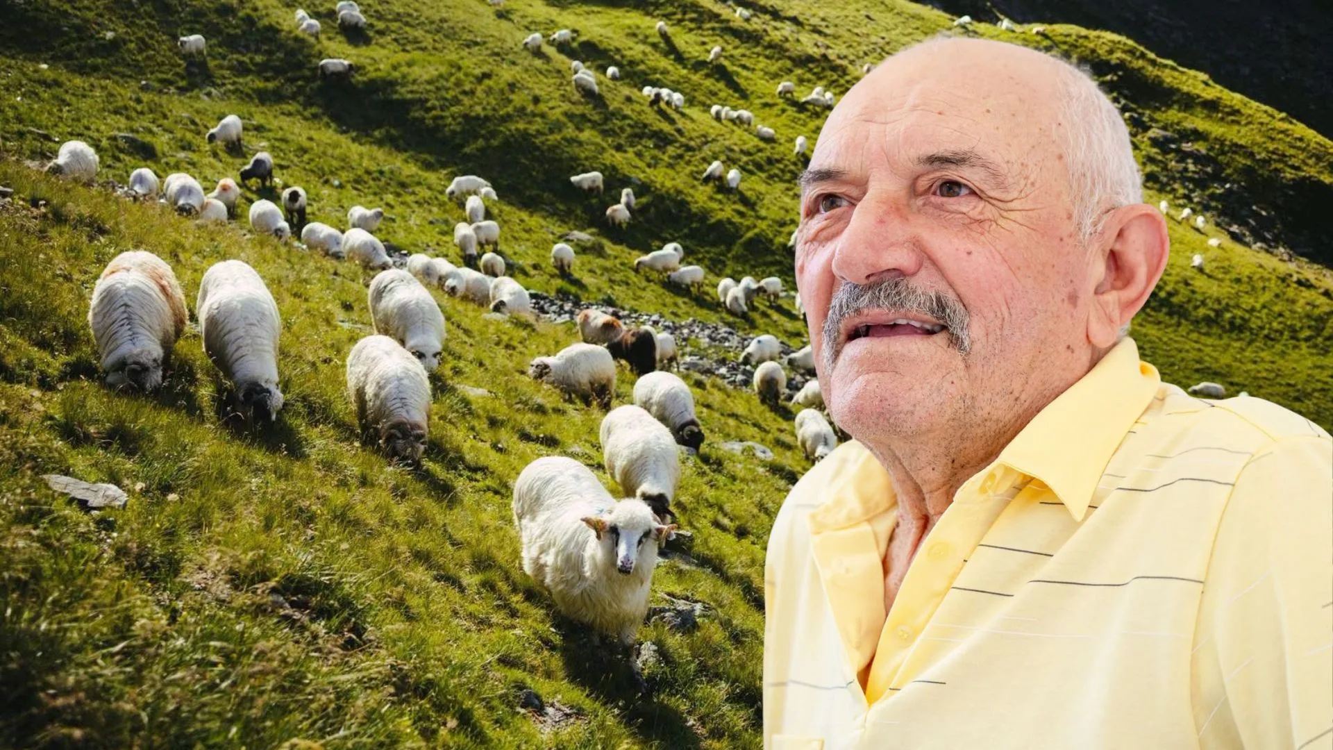 Incredibila poveste a lui Nică a lu’ Greavu, „haiducul” din Tilișca, care a ales libertatea cu 1.427 de oi. Cum le-a trecut peste graniță în Ungaria? „Am avut 37 de ARO-uri, toate luate de noi din fabrica de la Câmpulung-Muscel”