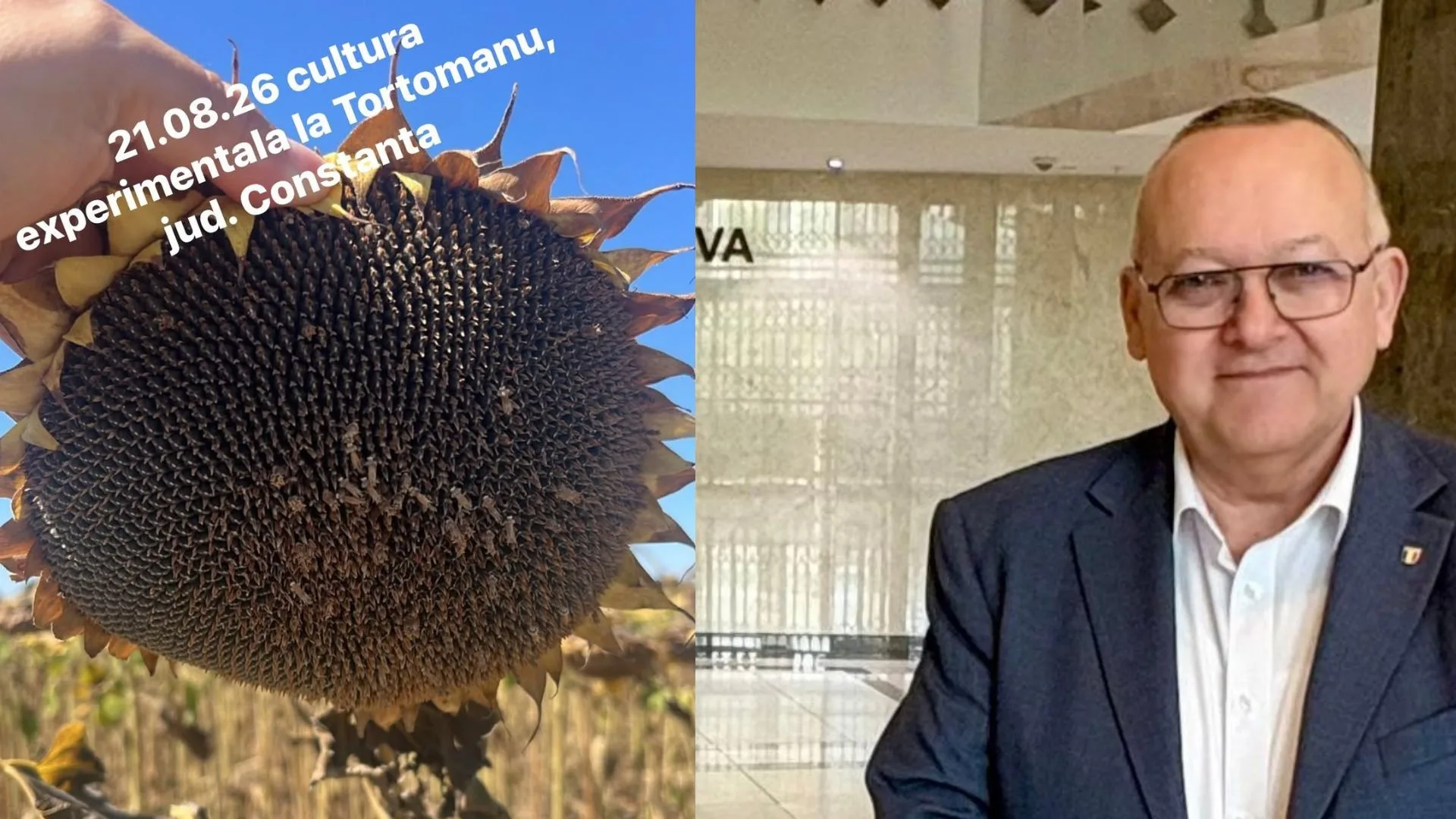 Vârf de producție de 11.026 kg/ha la porumb și 4,3 tone/ha la floarea soarelui fără irigare, după ce semințele au fost trecute printr-un câmp electromagnetic cu tehnologia BTGP. Radu Mihailov: ”Tratamentul poate grăbi germinarea și poate ajuta planta să formeze rădăcini mai viguroase”