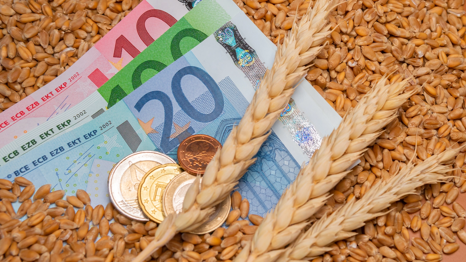 Prețul grâului revine la peste 240 euro/tonă, porumbul urcă puternic. Piața cerealelor, sub presiunea ofertei. Ce urmăresc comercianții!