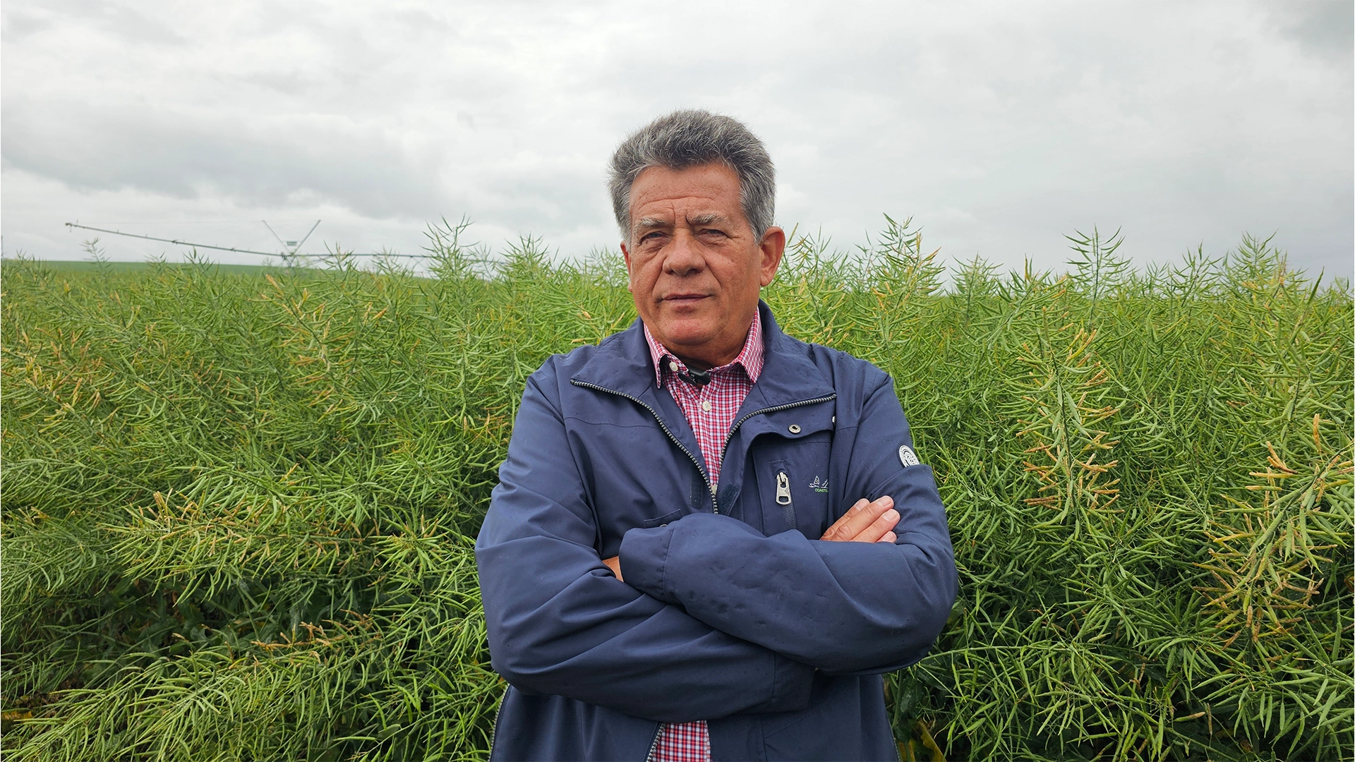 Vasile Lungu Domeniile Lungu Tehnologie pentru minimum 5 tone de rapiță la hectar