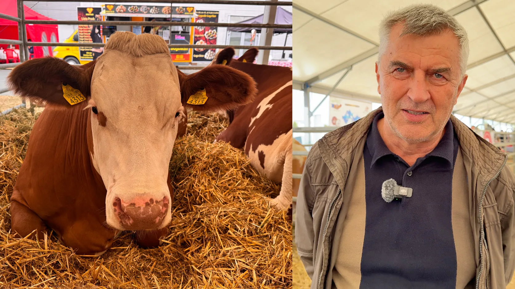 Zoltan Szabo: vindem cu cât primim şi cumpărăm cu cât ni se cere. Agricultura nu mai este o afacere