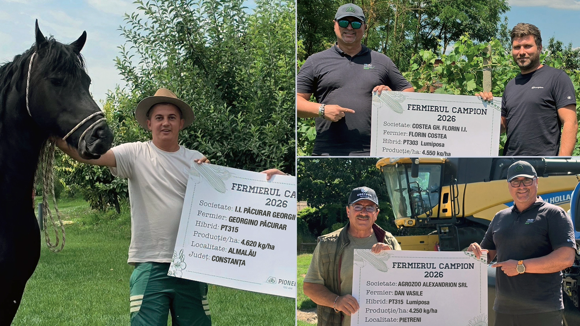 Fermierii campioni la rapiță din județul Constanța