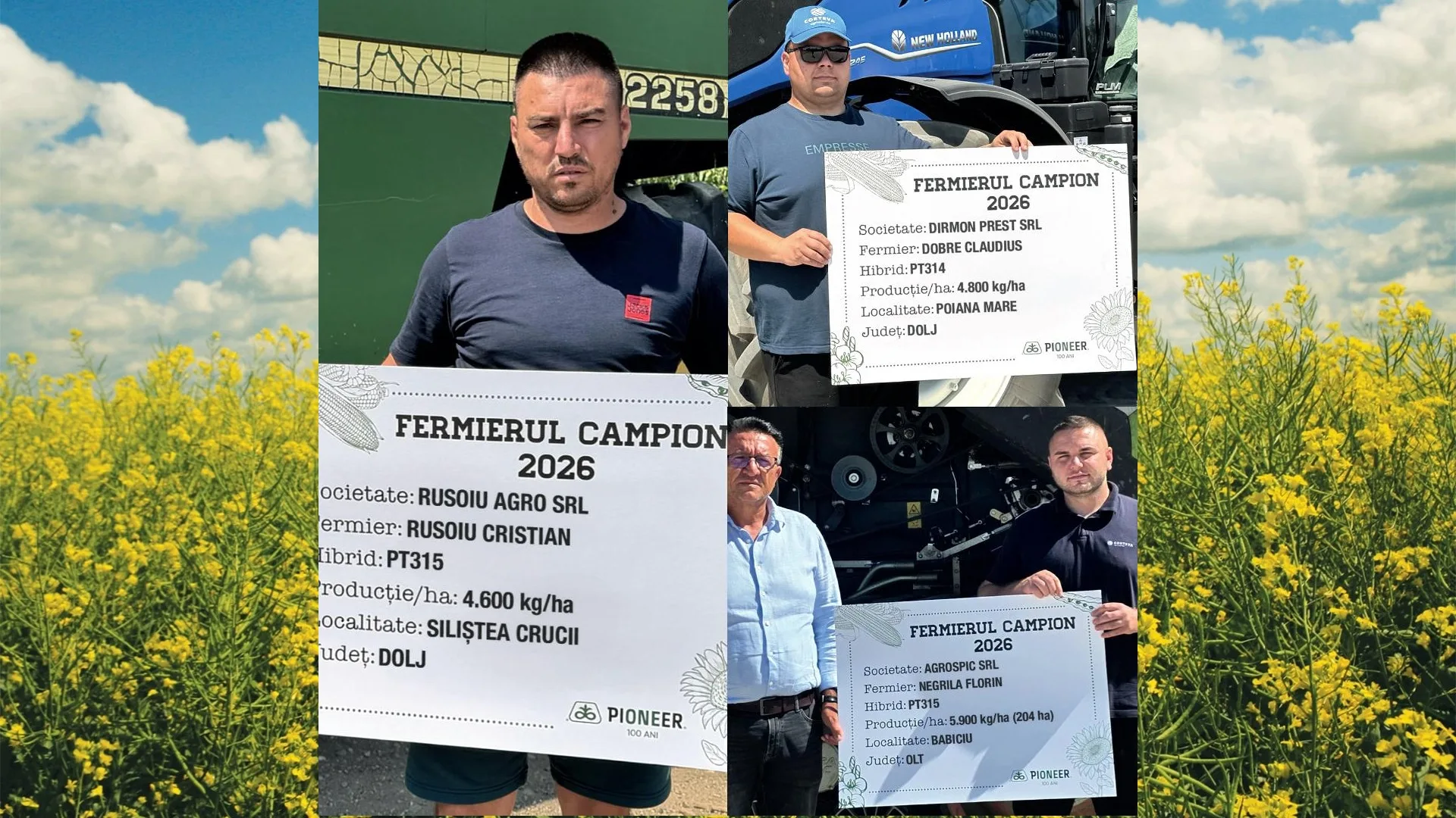 Rapița de 5.900 kg/ha! Fermierii campioni din Oltenia