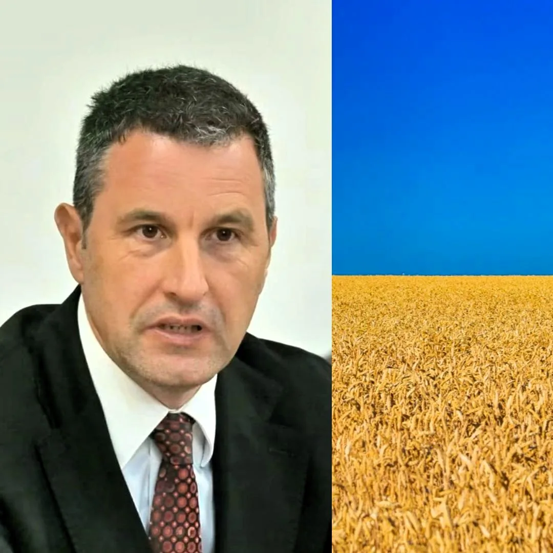 tanczos barna import cereale ucraina