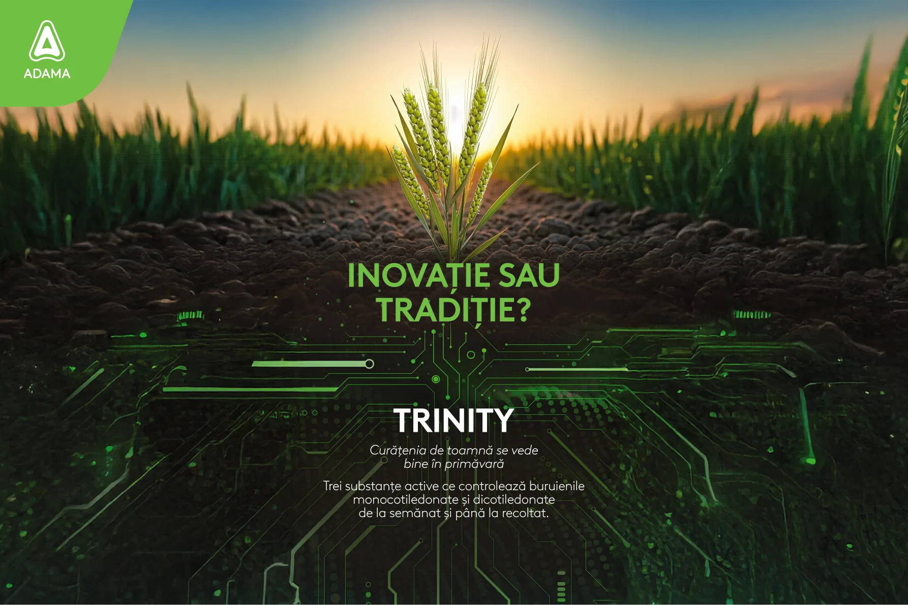 trinity L Trinity SC: Curățenia de toamnă care se vede în primăvară